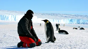 Fenomenul din Antarctica care ne va afecta pe toți. Situația este mai gravă decât se credea