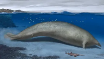 Cel mai greu animal din istorie a fost descoperit: Ce specie era, cât cântărea