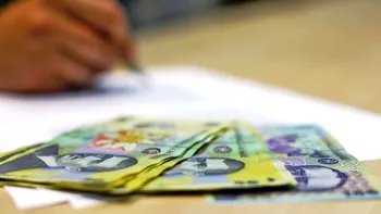 Creșterile de taxe pentru freelanceri și cei care au PFA vor duce la dezastru și vor influența munca la negru. Cât cresc sumele datorate statului în 2024