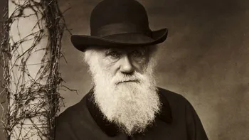 Cum au rezolvat doi adolescenți cea mai dificilă problemă a lui Darwin, din greșeală. Descoperirea, făcută în vacanță. Foto