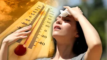 Cum poate omenirea supraviețui încălzirii globale. Soluția neașteptată folosită de mii de ani, care sunt dezavantajele