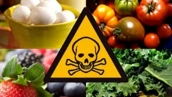 Fructe și legume cu pesticide peste limită, carne cu Salmonella și alte bacterii. Mii de notificări privind produse periculoase