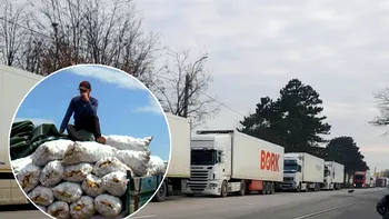 Leguma cultivată în România care face furori printre străini. Agricultorii români au dat lovitura în Polonia, Austria sau Ungaria, tirurile stau la coadă