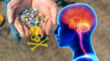 Microplasticele pot fi un pericol pentru creierul uman. Ce spun cercetătorii, riscul la care ne expunem