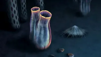 O fosilă de 500 de milioane dezvăluie secrete uimitoare ale unei categorii ciudate de nevertebrate marine
