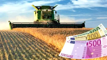 Se mai fac bani din afacerile în agricultură? Decizie de la vârful țării, se schimbă foaia pentru firme și angajați