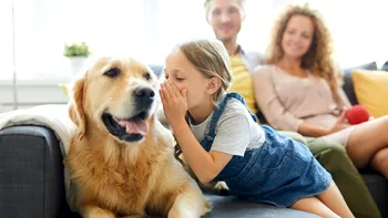 De ce oamenii nu pot folosi procesarea limbajului natural pentru a vorbi cu animalele: ce demonstrează cercetătorii