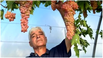 Afacerea de succes cu care a dat lovitura în România. S-a inspirat din occident, dar Ion se îmbogățește acasă