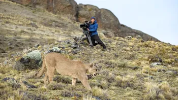 Documentarul pe care nu trebuie să-l ratezi toamna aceasta. Ce știm despre Animals Up Close, unde îl vezi