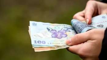 Ce socoteli și-a făcut Guvernul pe banii firmelor din România: 