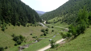 Cetățile necunoscute ale dacilor de pe Valea Sibișelului. Ce spun istoricii, de ce nu au fost cercetate