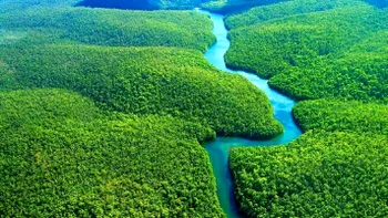 Fenomenul El Niño afectează grav planeta. Ce se întâmplă cu pădurile tropicale și carbonul din atmosferă