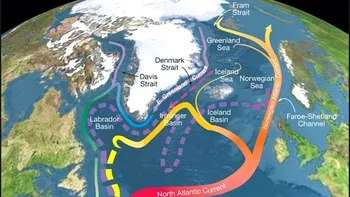 Gulf Stream, la cel mai scăzut nivel din ultimii 1600 de ani. Care este cauza, ce consecințe dezastruoase poate genera