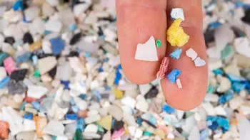Impactul microplasticelor asupra creierului. Ce au descoperit oamenii de știință, care sunt pericolele