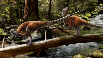 O nouă specie de dinozauri a fost descoperită de cercetători. Când au trăit, dimensiunea surprinzătoare pe care o aveau
