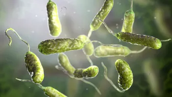 Ce este bacteria care se hrănește cu carne și cât de periculoasă este, de fapt