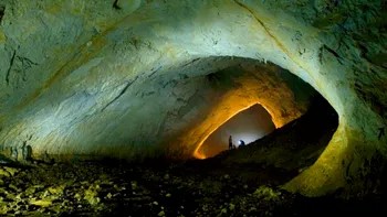 Peștera spectaculoasă din România unde găsești specii unice în lume. Unde se află, ce spun cercetătorii