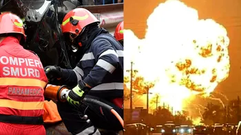Cazul Crevedia: 90 de persoane audiate până acum. Patronii rămân în arest, dar cer o măsură mai blândă SPECIAL