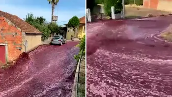 Inundație cu vin roșu într-un sat. Cum au reacționat localnicii după ce 2,2 milioane de litri au ajuns pe străzi. Video