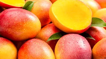 Fructul de mango, noua vedetă în Europa. Cum a influențat încălzirea globală agricultura