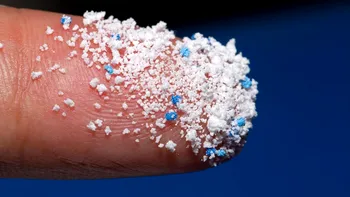 Microplasticele, o problemă reală pentru mediul înconjurător. Decizia luată de Comisia Europeană