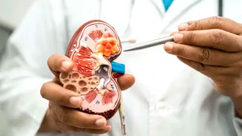 Rinichiul artificial, soluția propusă de cercetători. Cum te-ar putea salva dacă suferi de insuficiență renală