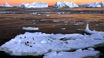 Topirea gheții din Antarctica, inevitabilă. Soluția inedită propusă de oamenii de știință