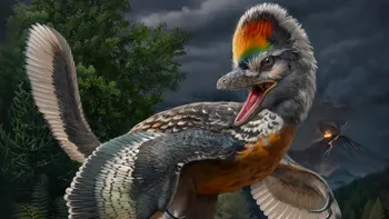 Specie de dinozaur nou descoperită: ce particularitate are, cum îi ajută pe oamenii de știință să înțeleagă mai bine istoria