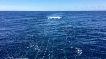 Ce se ascunde sub Oceanul Pacific. Datează de milioane de ani, descoperirea fascinantă a cercetătorilor