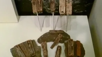Misterul sicrielor mici de 10 centimetri. Unde au fost descoperite, care sunt teoriile privind originea lor