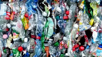 Poluarea cu deșeuri de plastic este mai extinsă decât se credea. Unde a fost descoperită, se întâmplă pentru prima oară