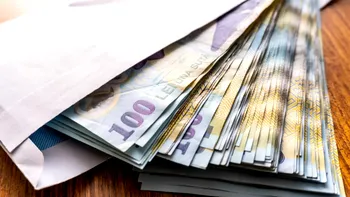 Cum poți să câștigi bani peste noapte, în România. Ce trebuie să faci