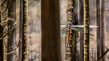 Cea mai mare insectă care a existat vreodată: Ai motive să te bucuri că nu împarți Pământul cu ea
