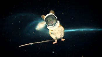 Primul embrion de șoarece crescut în spațiu: Cum s-a adaptat la lipsa gravitației