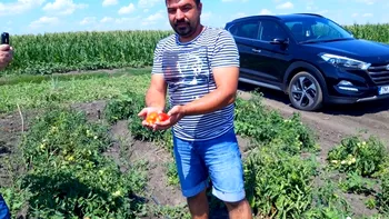 Afacerea care i-a adus îmbogățirea în România: povestea românului care a dat străinătatea pe o afacere acasă și nu regretă