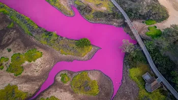 Fenomen straniu într-un lac, apa a căpătat culoarea magenta și nimeni nu are o explicație pentru asta