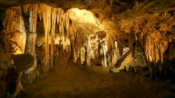 VIDEO Cel mai mare instrument muzical natural din lume: Unde îl găsești, de ce este special