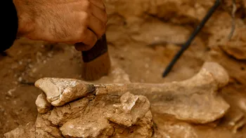 Descoperire arheologică importantă în România: Unde au fost găsite o lance dacică și o așezare civilă romană