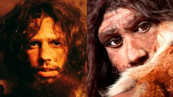 Diferențe și asemănări între Homo sapiens și omul de Neanderthal. Ce se unește, ce ne separă