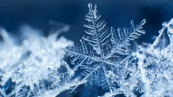 Diversitatea fascinantă a fulgilor de zăpadă: De ce doi fulgi de nea nu sunt la fel, ce spune știința