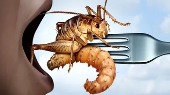 Consumul de insecte, benefic pentru organism, dar și pentru planetă. Sfaturile specialiștilor în nutriție