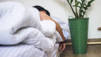 Dorm plantele, ca oamenii? Ce răspuns au oamenii de știință