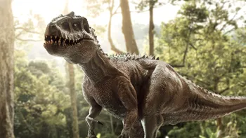 Legătura ciudată între dinozauri și vârsta oamenilor. De ce nu trăim până la 200 de ani?