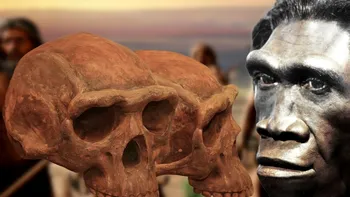 Descoperire uimitoare în România: Cele mai vechi fosile de Homo Sapiens, în sud-vestul țării