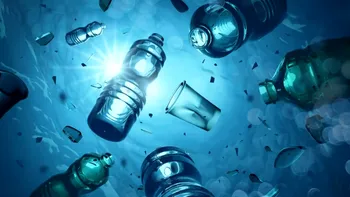 Plasticul a ajuns la capătul lumii. Microplastice găsite în 92% dintre animalele studiate la 2.000 de metri adâncime