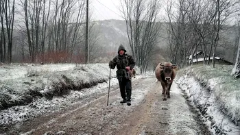 Localitatea cu un singur locuitor. Viața lui nea Ionică, din satul 