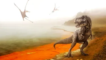 Minuni preistorice: Fosile rare de dinozaur, găsite în Ţara Haţegului
