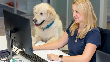 Birourile pet-friendly sunt tot mai răspândite. Care sunt principalele beneficii ale acestui concept? [P]