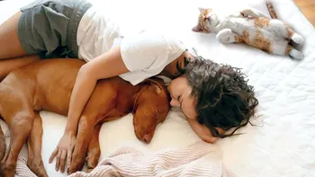 Lăsăm sau nu animalele de companie să doarmă în pat cu noi? Iată părerea experților
