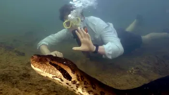 Cel mai mare șarpe din lume, descoperit în inima Amazonului. Reptila gigant are până la 8 metri lungime și 200 de kg